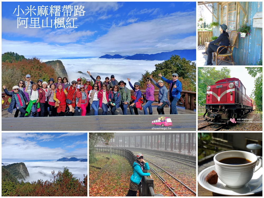 【小米麻糬帶路旅行團】絕色阿里山。鐵道、楓紅、步道、茶鄉三日