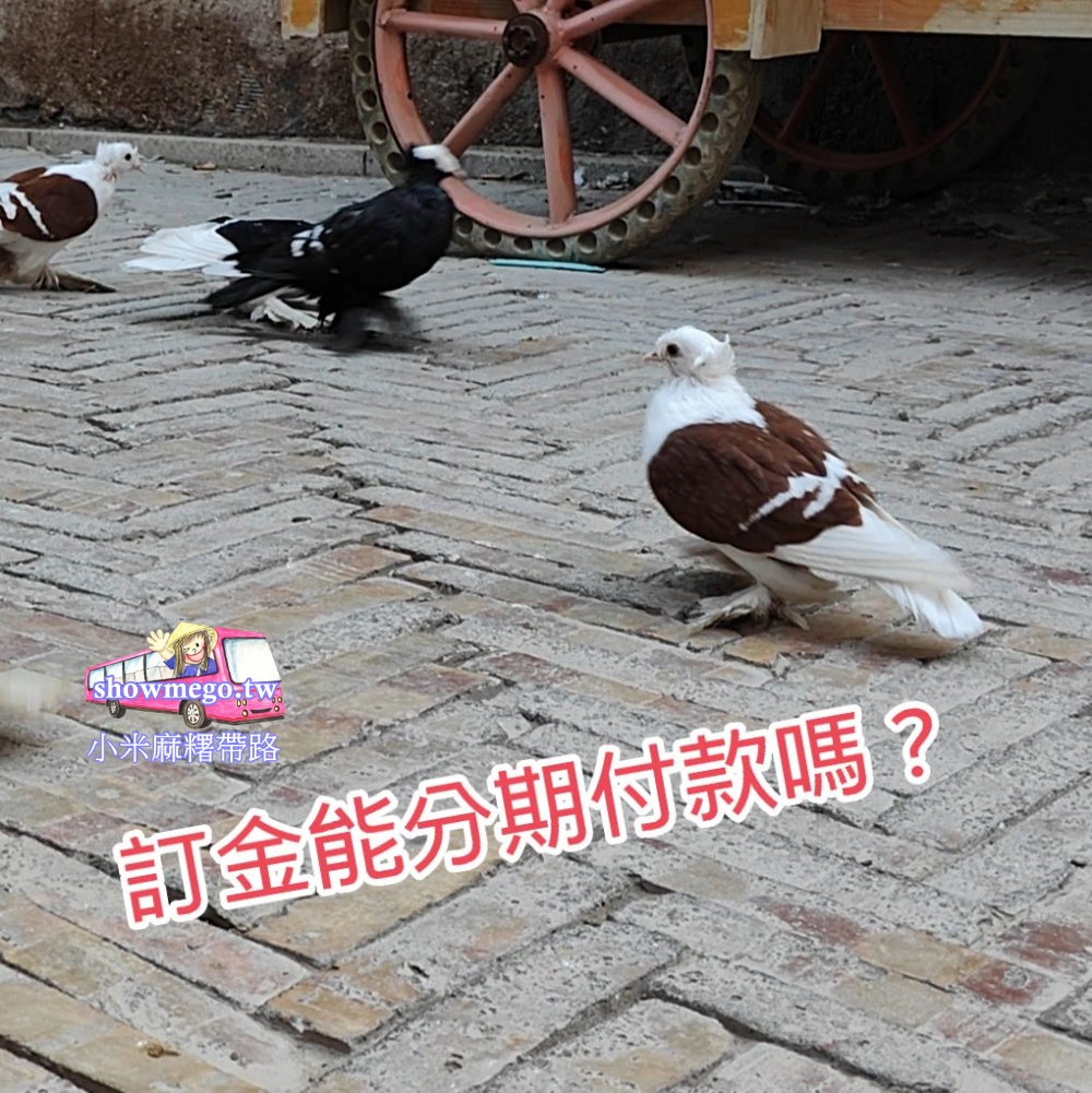 旅行團的訂金能分期付款嗎?|小米麻糬帶路