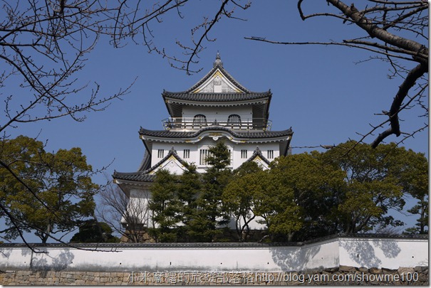 【關西大阪泉州】岸和田城~賞櫻好去處!3月底4月初來!